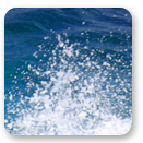 Wasser